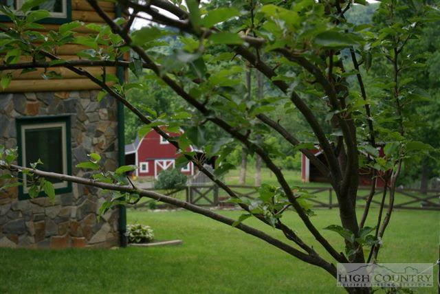 Image number 3 for the current listing