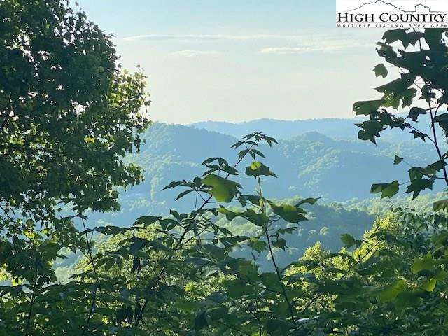 Image number 1 for the current listing