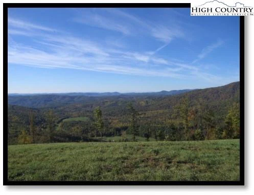 Image number 1 for the current listing