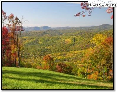 Image number 4 for the current listing