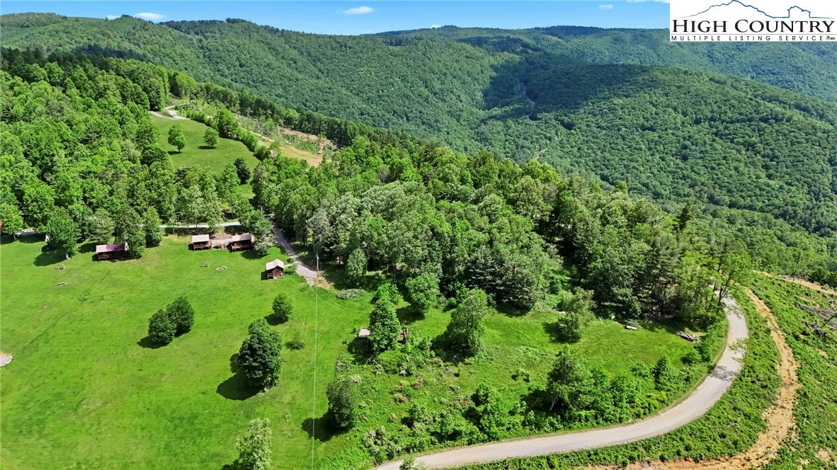 Image number 3 for the current listing