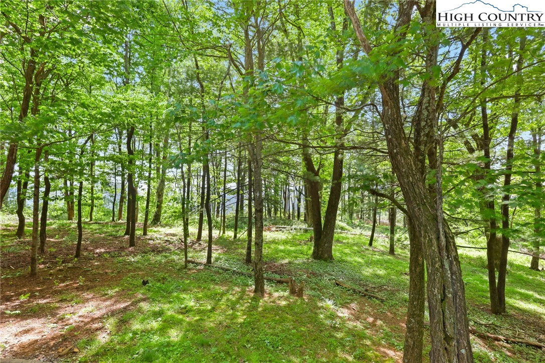 Image number 5 for the current listing