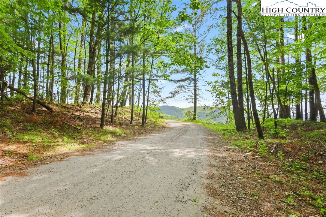 Image number 6 for the current listing
