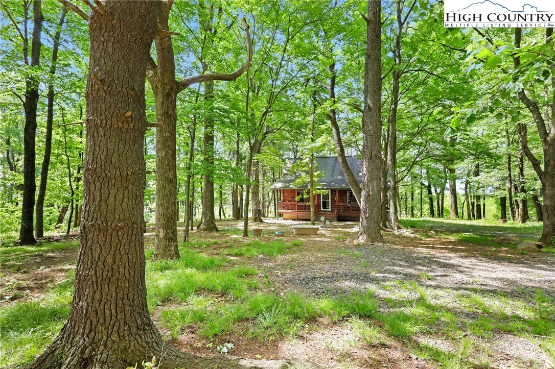 Image number 10 for the current listing