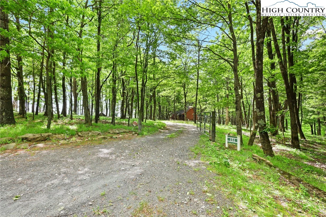 Image number 11 for the current listing