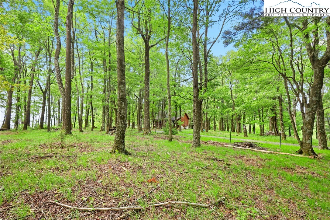 Image number 12 for the current listing