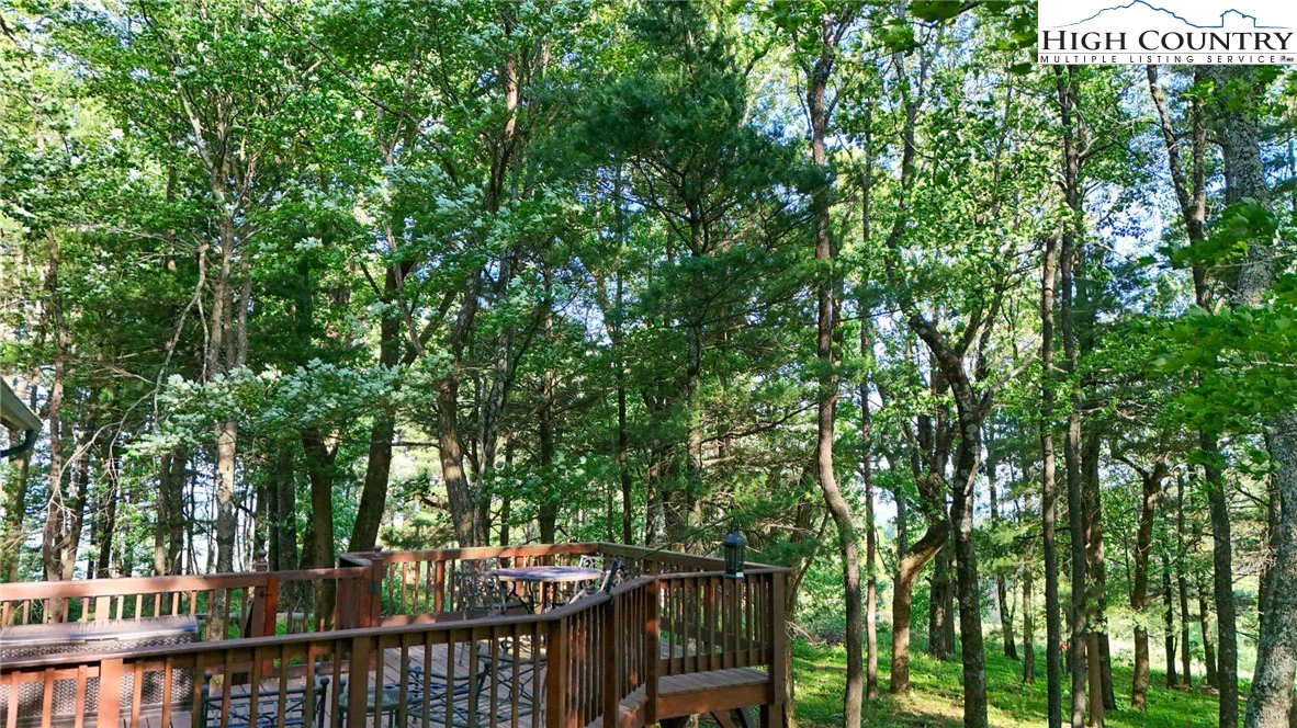 Image number 14 for the current listing