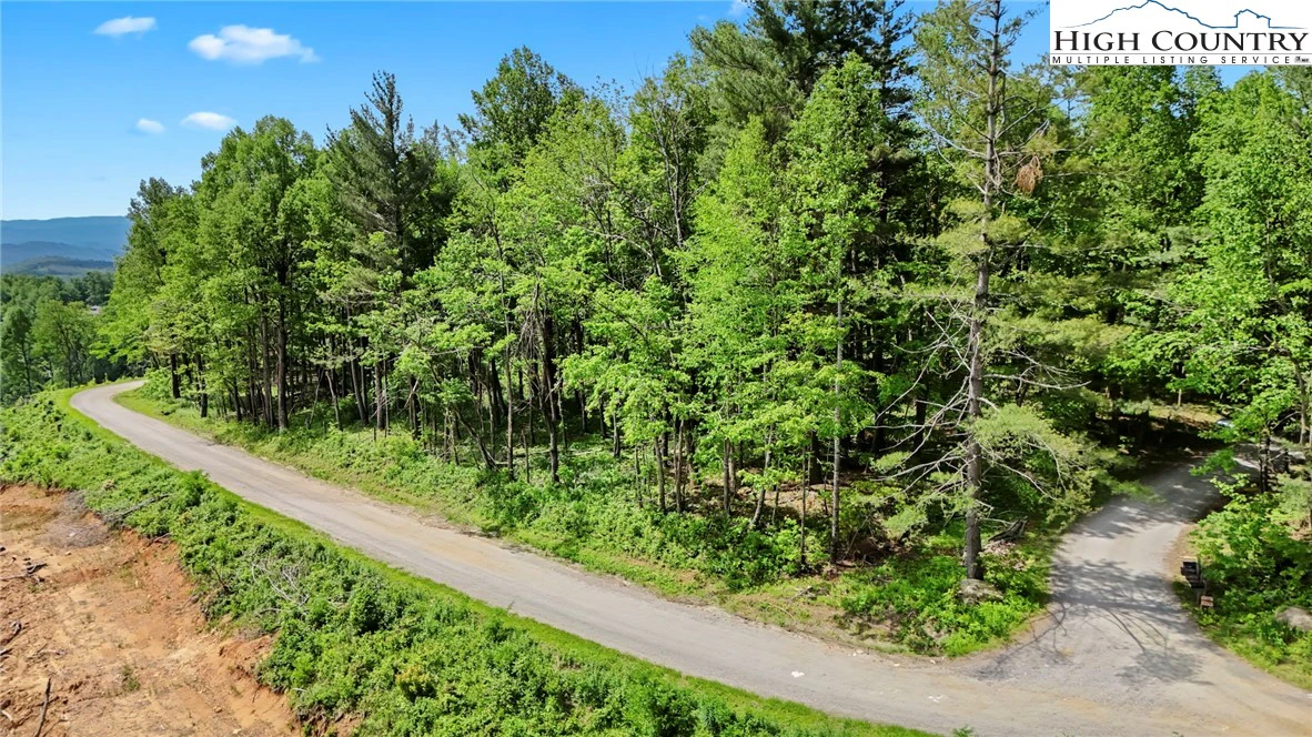 Image number 15 for the current listing