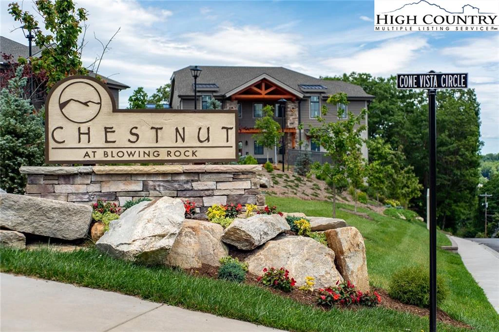 Image number 1 for the current listing