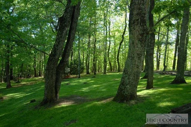 Image number 8 for the current listing