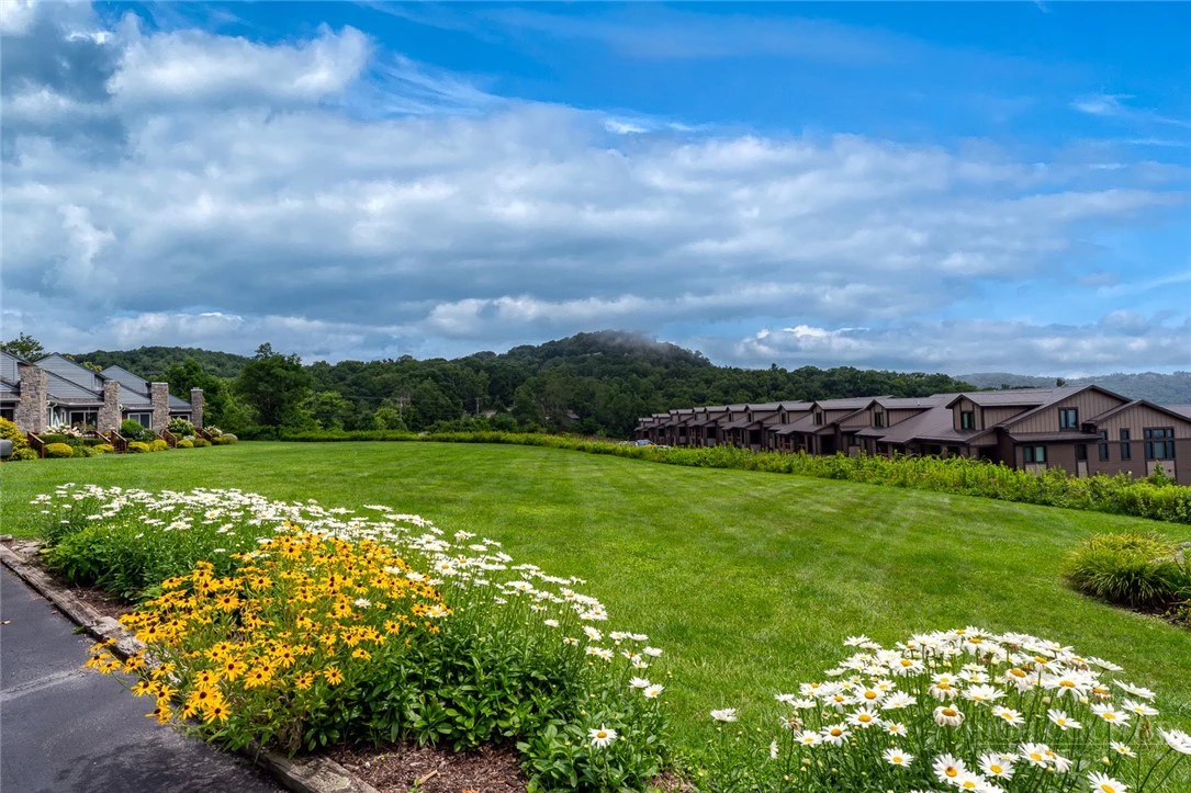 Image number 7 for the current listing