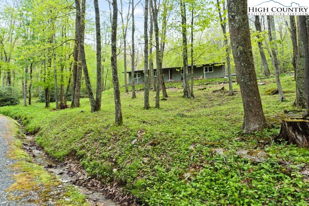 Image number 1 for the current listing