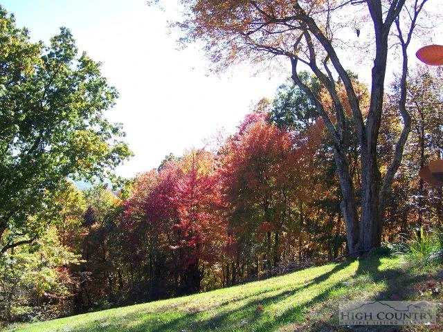 Image number 13 for the current listing