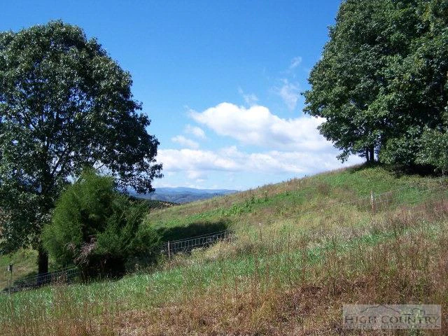 Image number 12 for the current listing