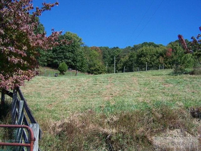 Image number 11 for the current listing