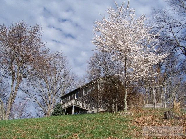 Image number 7 for the current listing