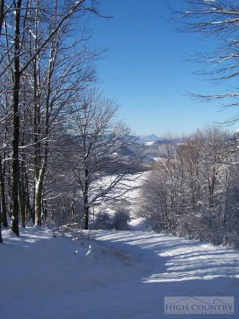 Image number 6 for the current listing