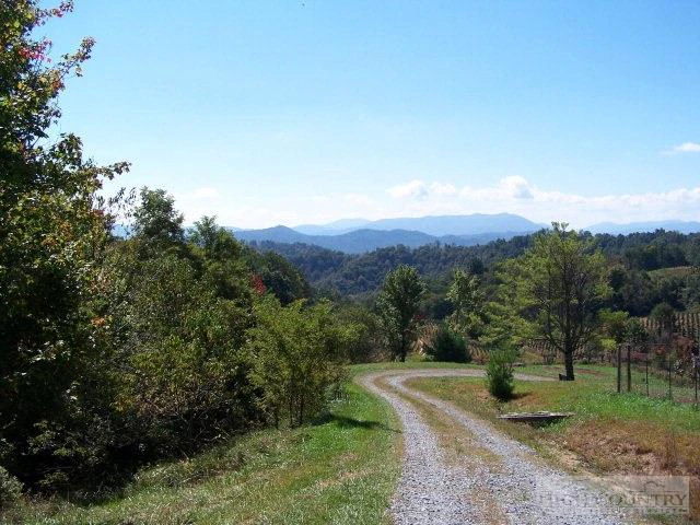 Image number 5 for the current listing