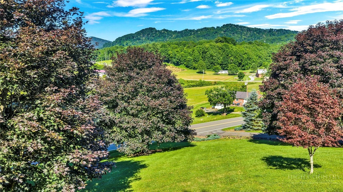 Image number 4 for the current listing