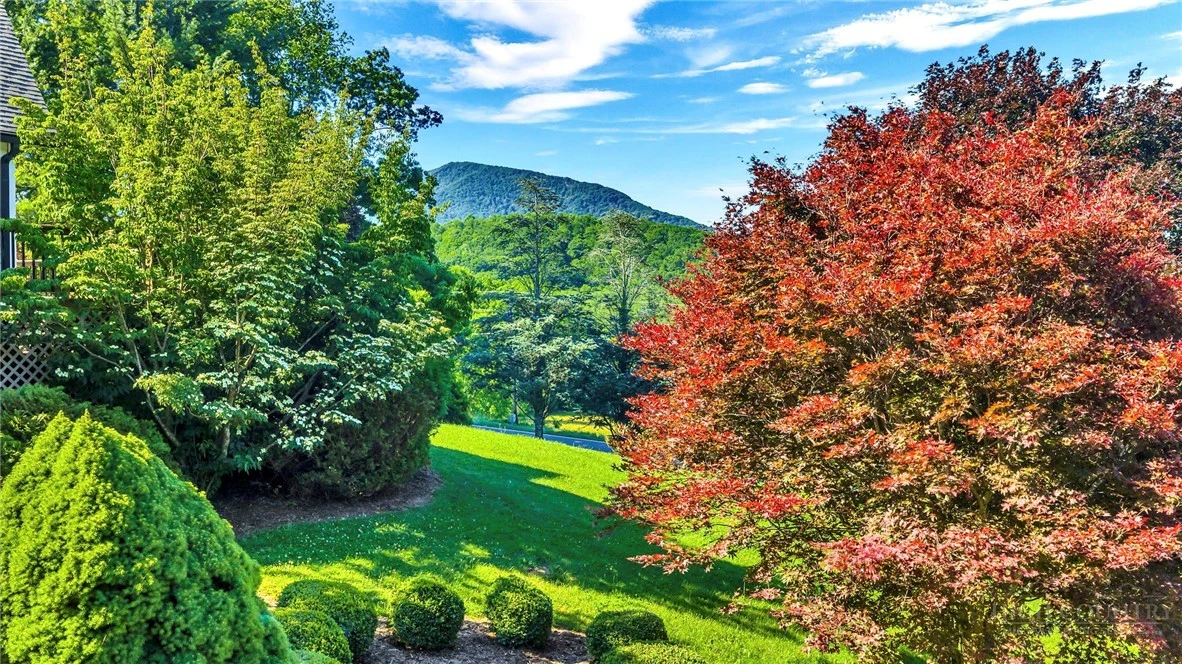 Image number 5 for the current listing