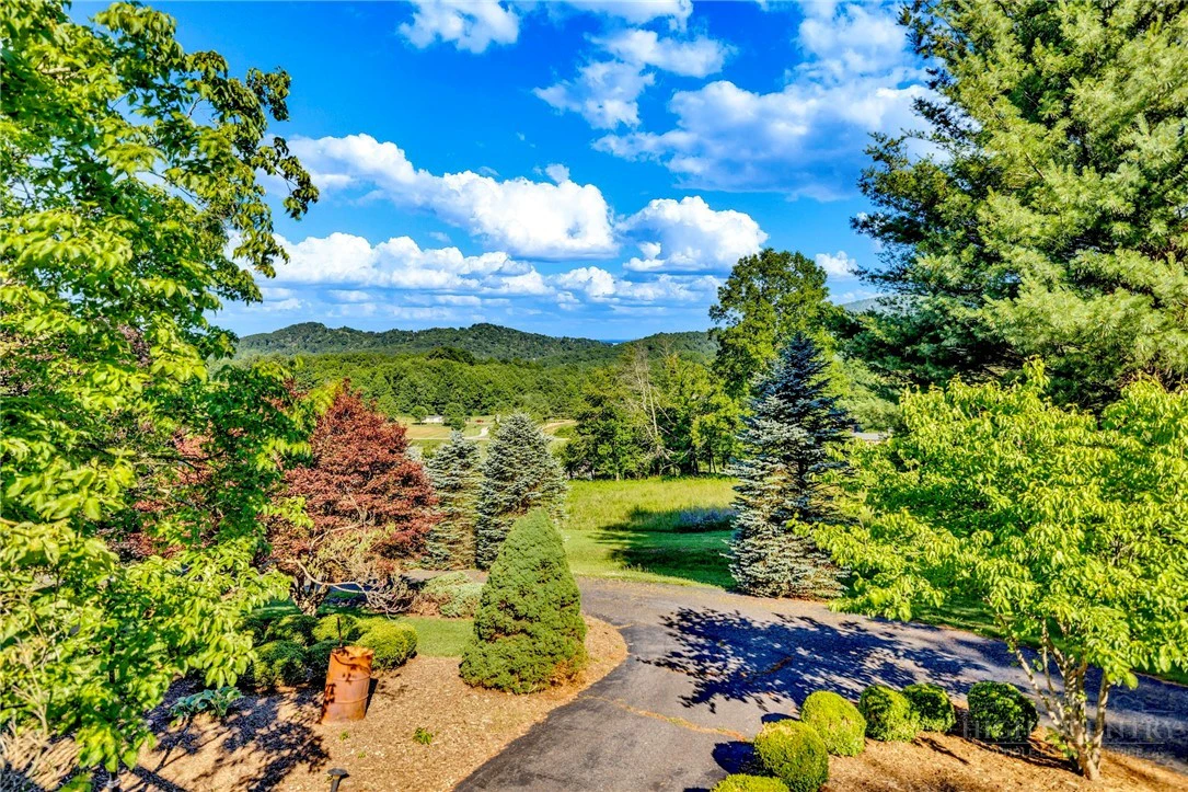 Image number 6 for the current listing