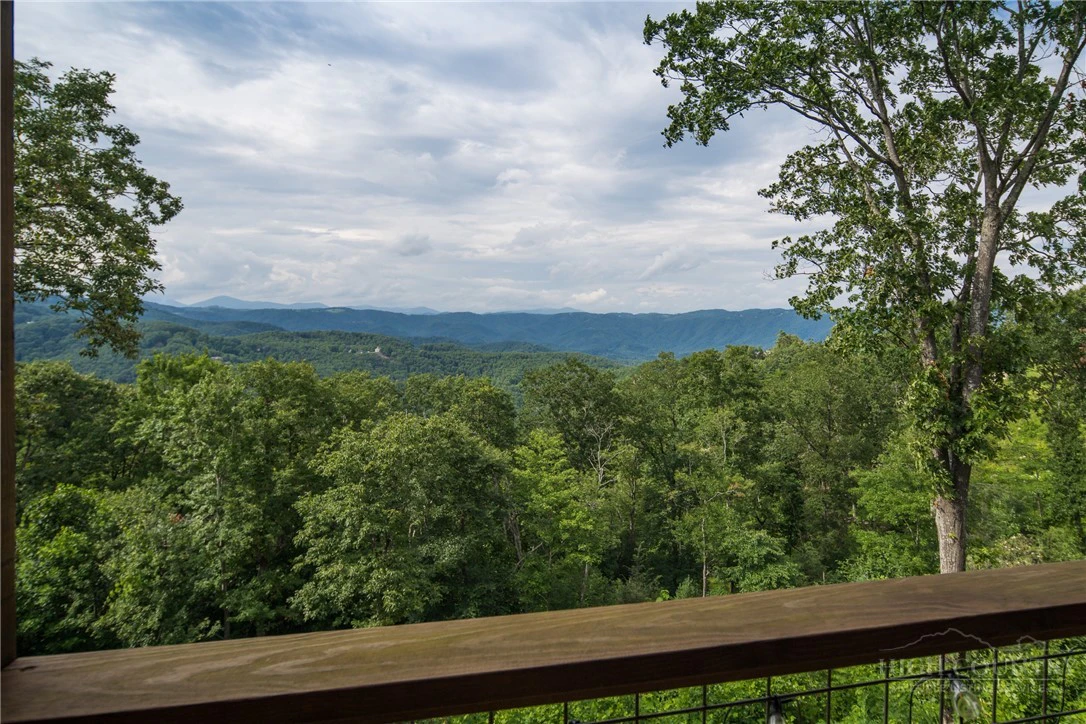 Image number 10 for the current listing