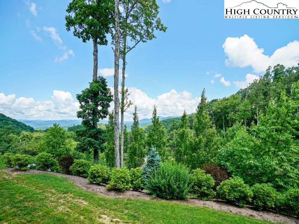 Image number 4 for the current listing