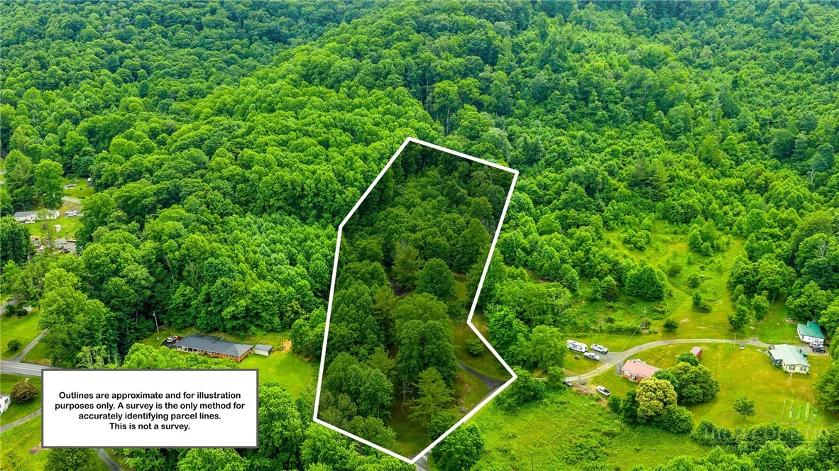 Image number 4 for the current listing