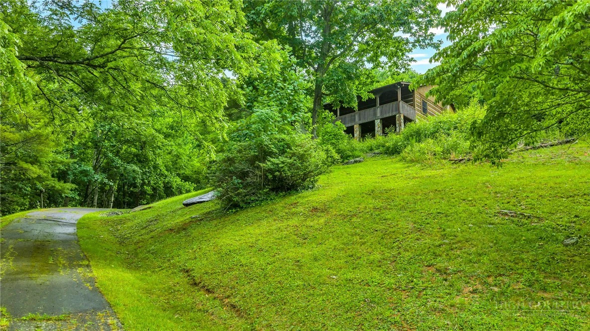 Image number 6 for the current listing