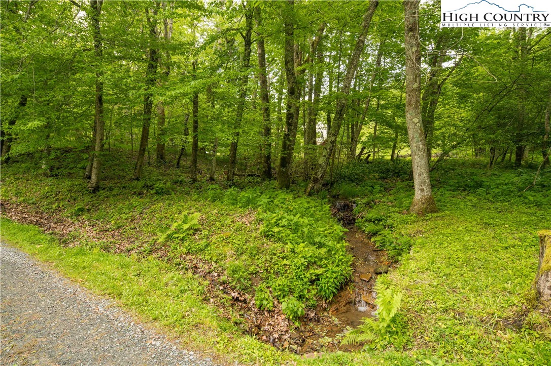 Image number 19 for the current listing