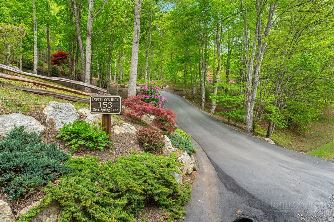 Image number 5 for the current listing