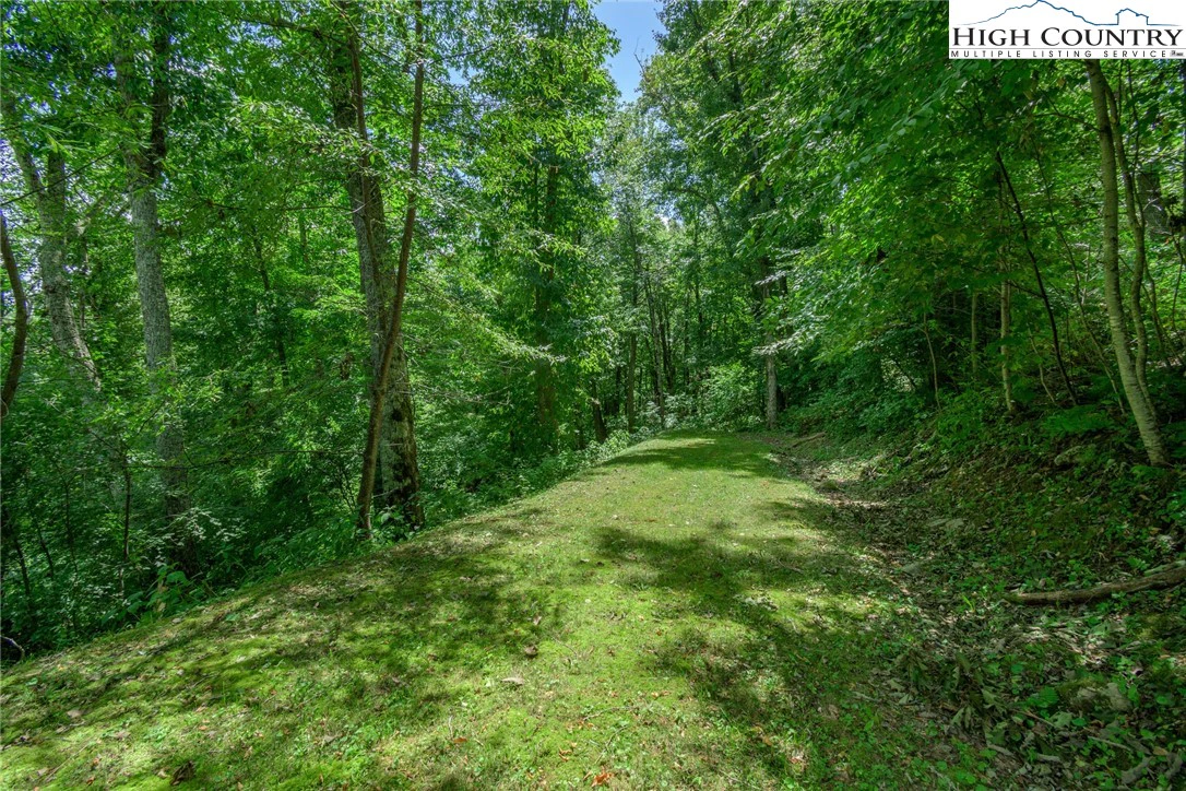 Image number 1 for the current listing