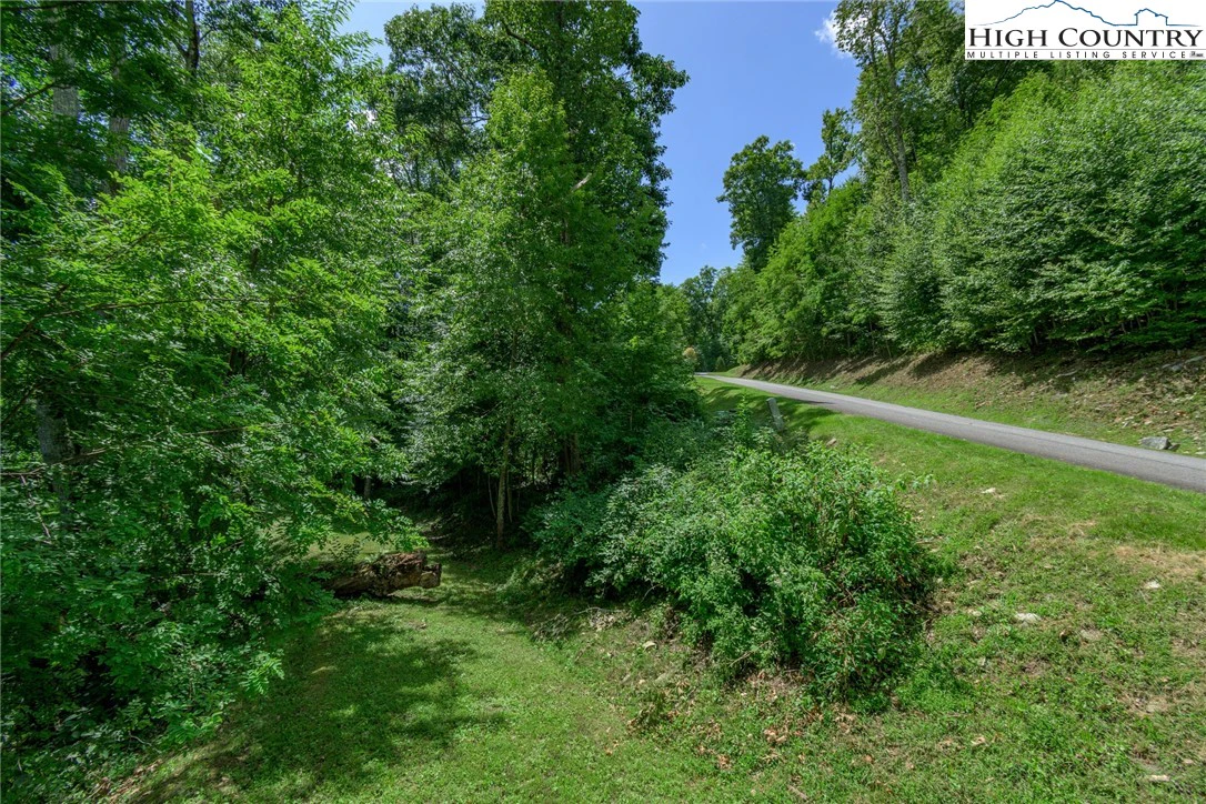 Image number 2 for the current listing