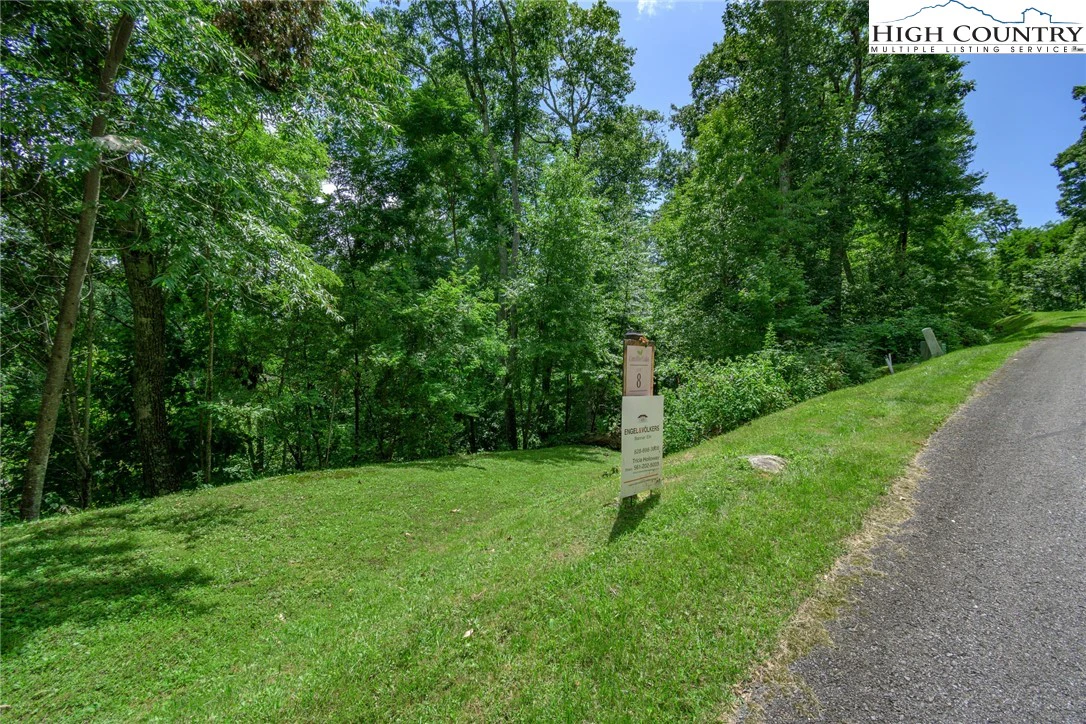 Image number 3 for the current listing