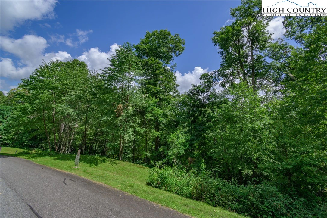 Image number 4 for the current listing