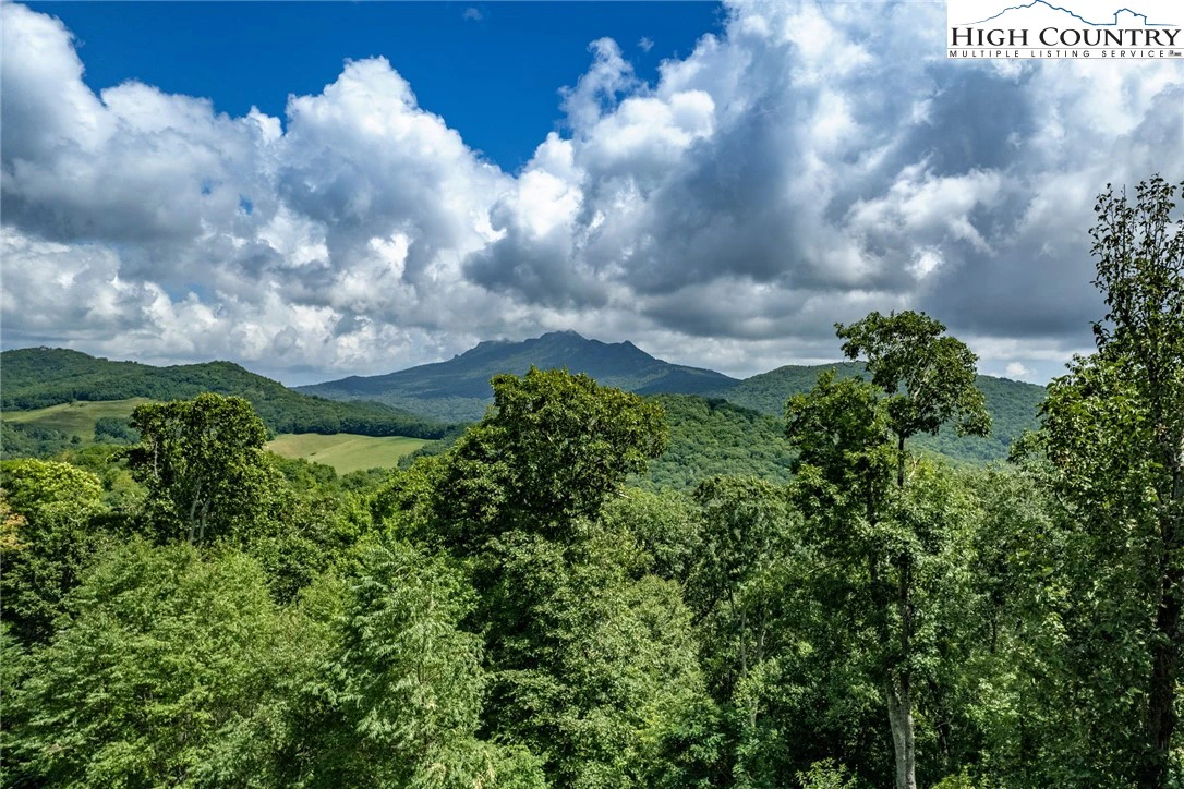 Image number 9 for the current listing