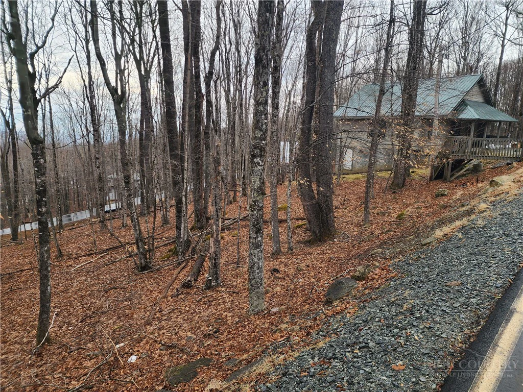Image number 2 for the current listing