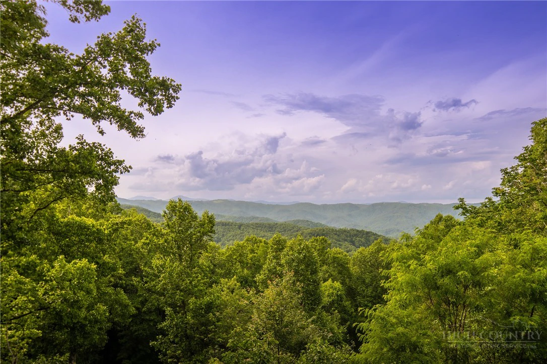 Image number 16 for the current listing