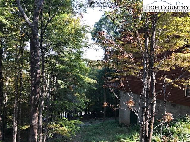 Image number 4 for the current listing