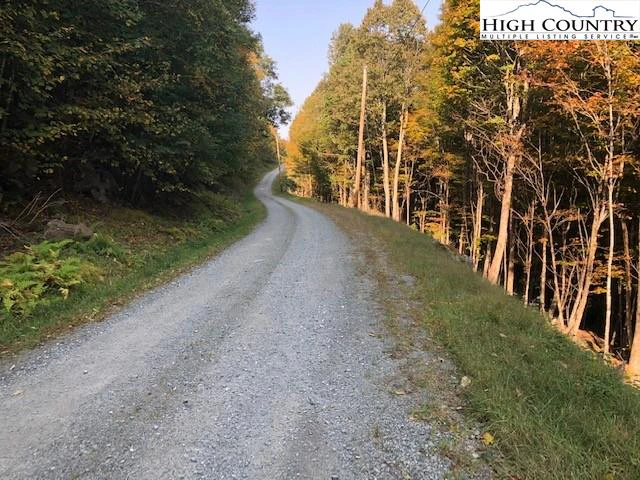Image number 7 for the current listing