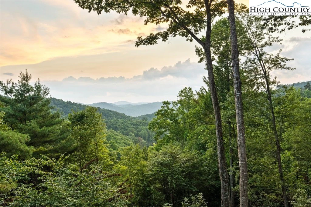 Image number 1 for the current listing