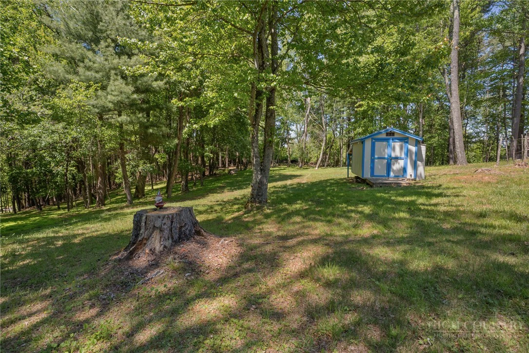 Image number 18 for the current listing