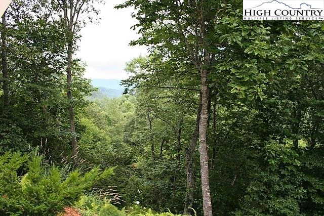 Image number 4 for the current listing