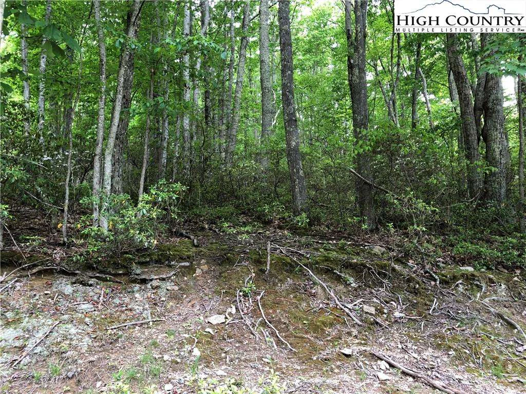 Image number 1 for the current listing