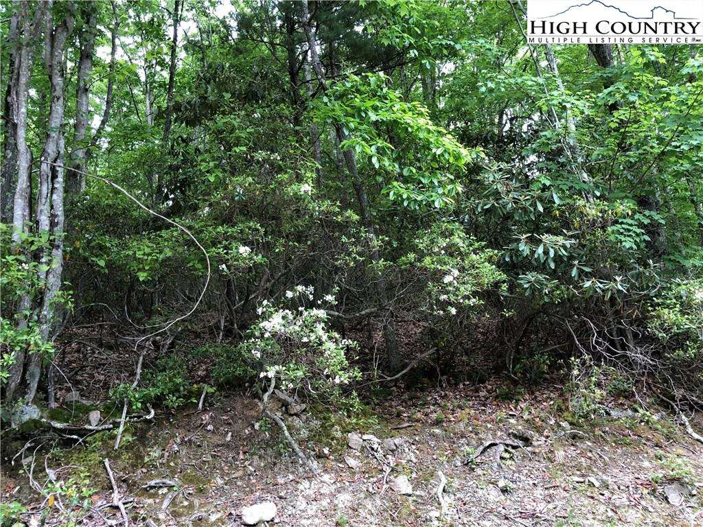Image number 3 for the current listing