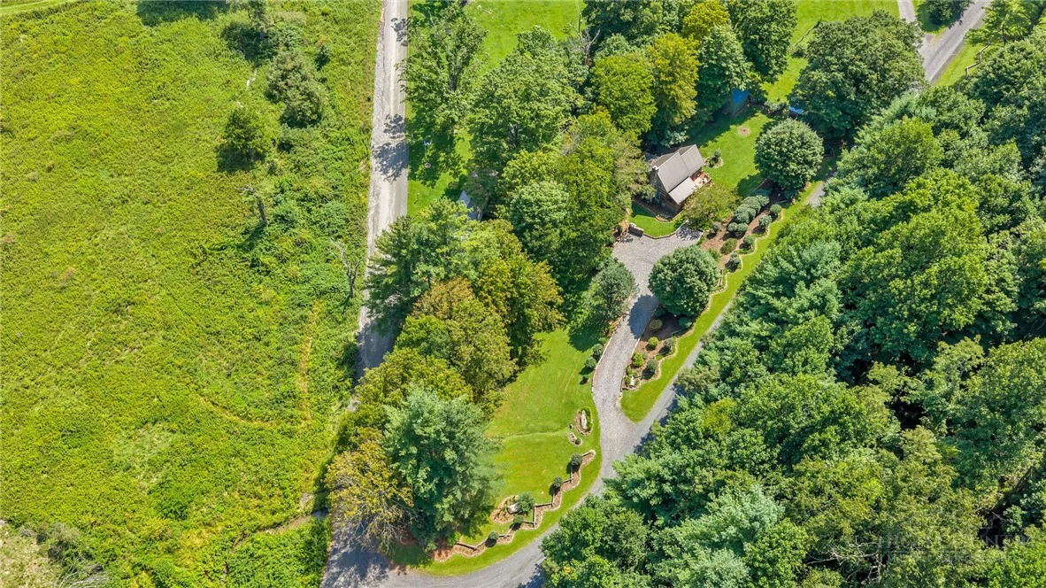 Image number 7 for the current listing