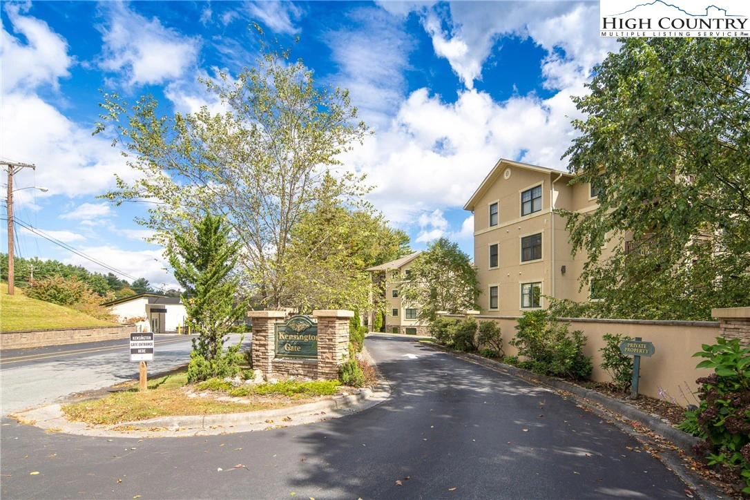 Image number 1 for the current listing