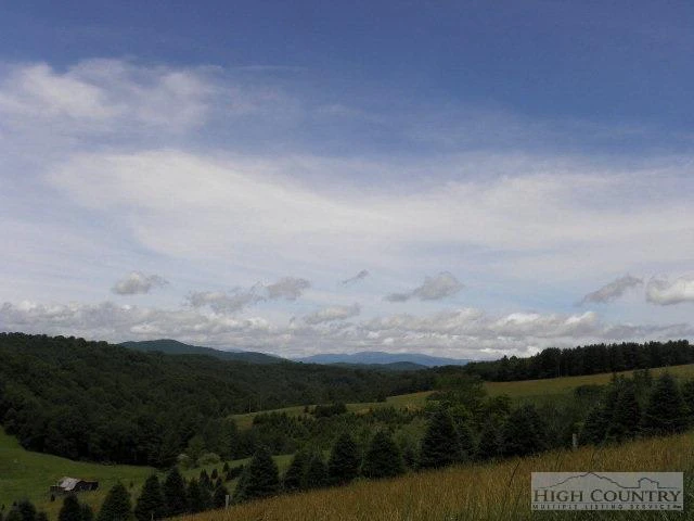Image number 8 for the current listing