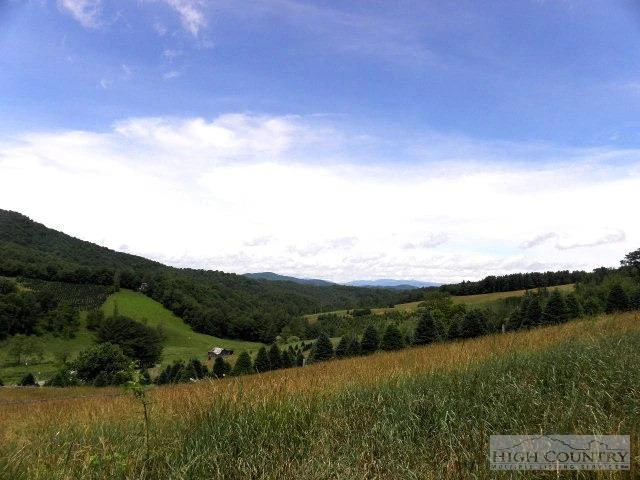 Image number 2 for the current listing