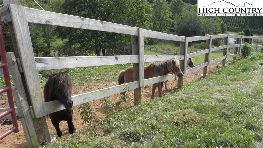 Image number 19 for the current listing